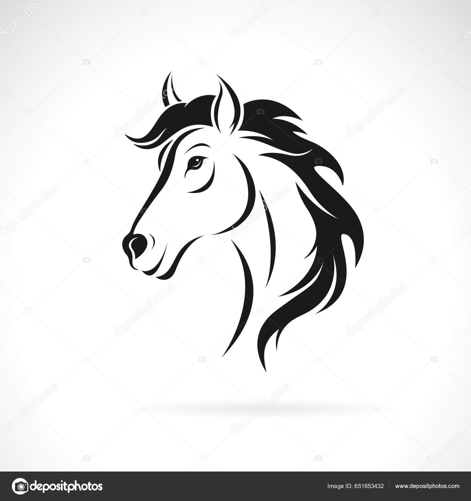 Vetor Desenho Cabeça Cavalo Fundo Branco Ilustração Vetorial Camadas  Editável imagem vetorial de yod67© 651853432